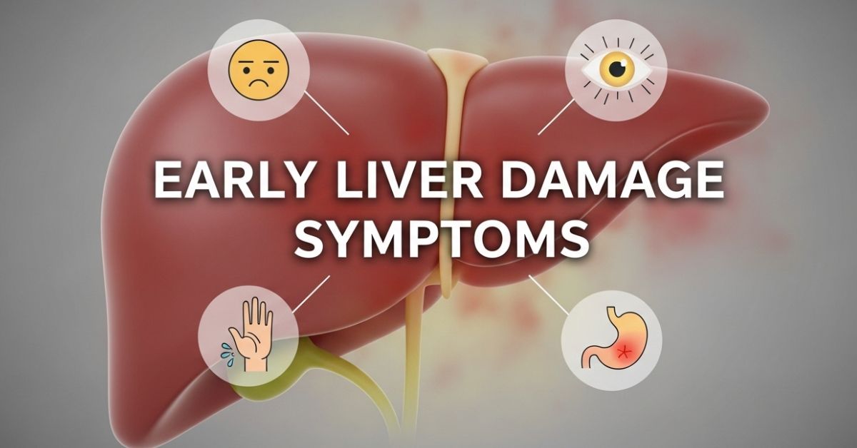 Liver Damage Symptoms Early